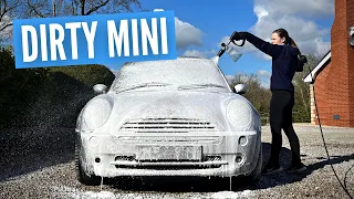 Cleaning a Dirty Mini Cooper | Exterior Car Detailing