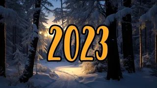 Stabiler als die Ampelregierung: Unser Jahr 2023! 🤪 I FlossenTV Jahresrückblick 2023