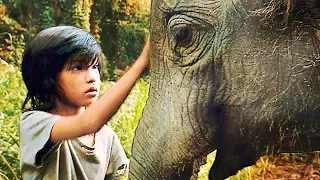 Mon Ami l'Éléphant - Film COMPLET en Français ☆ Familial - Drame