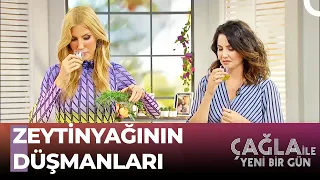 Zeytinyağını Sıcaktan Uzak Tutun! - Çağla İle Yeni Bir Gün 891. Bölüm