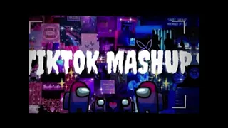 TIKTOK MASHUP 2024 (not clean)