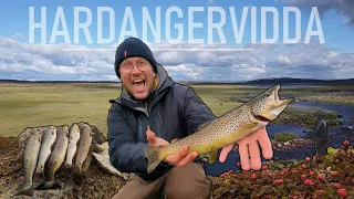 Fishing trout at Hardangervidda, Norway