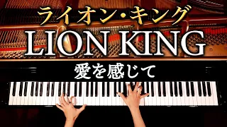 Lion King - Can You Feel The Love Tonight - piano cover - CANACANA