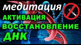 АКТИВАЦИЯ ДНК/ВОССТАНОВЛЕНИЕ ДНК/ИСЦЕЛЕНИЕ ДНК