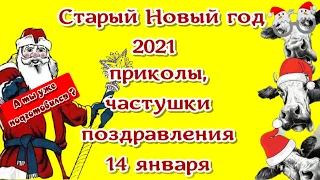 Старый Новый год 2021🎄песни🎄 приколы🎄частушки веселые видео поздравления в год быка