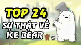 Top 24 sự thật về Ice Bear (Gấu Trắng) | We Bare Bears