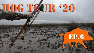 BOARS in the LONG GRASS! - Recurve Bow Hunting Public Land Hog Tour Ep. 6