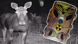 ☢️What was captured with camera traps in Chernobyl / Hidden Pripyat  life ☢️ Catching vandals