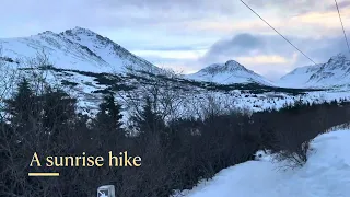 Powerline Trail Hike - Anchorage, Alaska 🇺🇸