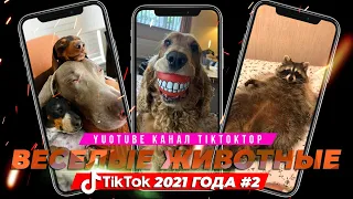 ВЕСЕЛЫЕ ЖИВОТНЫЕ из TikTok #2 2021 | Это ВИДЕО Смотрять ВСЕ! | Лучшее видео TikTok | ТРЕНДЫ TikTok