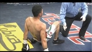 Donnie Nietes vs Raul Garcia | PINOY PRIDE 36 (TKO RD 5)