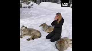 Как-будто бежала с волками и притомилась