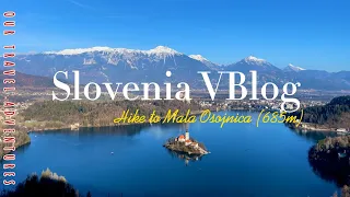 "Mesmerizing Views: Exploring Lake Bled from Mala Osojnica scenic viewpoint" -  📍Slovenia VBlog 4K