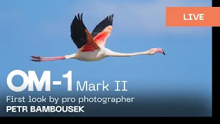 English | OM-1 Mark II - first look by professional wildlife photographer Petr Bambousek