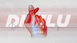 │社畜中字│Stray Kids - DLMLU {THE SOUND}│