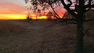 MISSOURI WHITETAIL DEER HUNTING/RIFLE SEASON OPENING DAY 2019