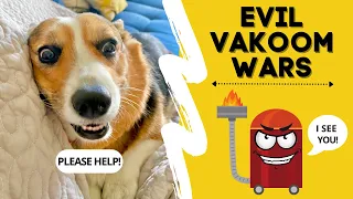 Talking Corgis Go To WAR With EVIL DRAGON VACUUM! #dogs