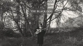 the black dog - taylor swift (acoustic cover)