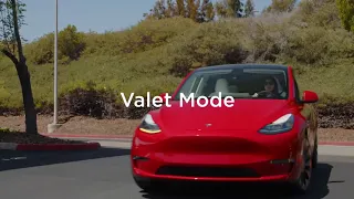 Tesla Valet Mode Explained