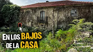 Encuentro RESTOS de una Vida Pasada en el SÓTANO de la Vieja Casa | Gaspar y Renata