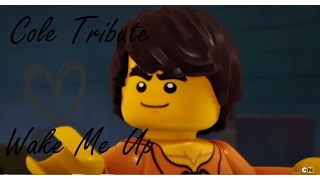 LEGO Ninjago | Cole Tribute | Wake me up ♪