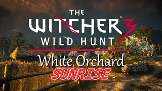 Witcher 3 - White Orchard - Sunrise - Music & Ambience