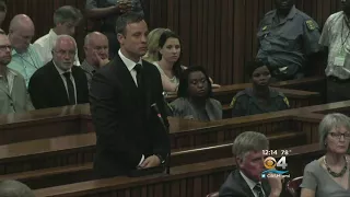 High Court Doubles Oscar Pistorius Muder Sentence