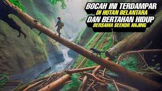 Terdampar Di Hutan Belantara Dan Bertahan Hidup Bersama Seekor Anjing ‼️