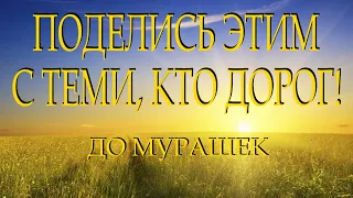 Очень трогательный стих "Берегите выбранных душой" Эсли Дильбази Читает Леонид Юдин