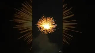 3.5" Polar Stars Sony Vinayaga Fireworks Diwali Skyshot Sivakasi Crackers Testing| #shorts #bursting