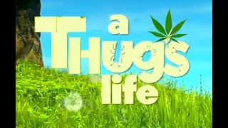 A THUG'S LIFE - YTP