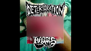 Haggus / Deterioration - split 7" FULL ALBUM (2016 - Grindcore / Mincecore / Goregrind)