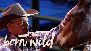 Training A Wild Horse In An Hour | 11am