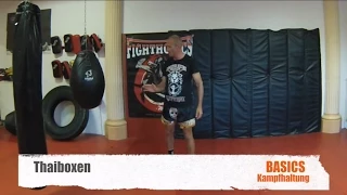 Thaiboxen- Basics-  Kampfhaltung