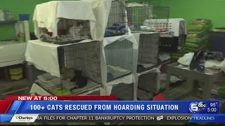 More than 100 cats rescued from hoarding situation in Cocke County