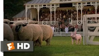 Babe (8/9) Movie CLIP - The Sheep Pig (1995) HD