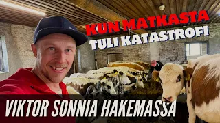 Sonnin haku muuttui katastrofiksi!