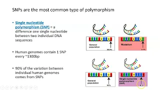 Genome-Wide Association Studies (GWAS), Part 1