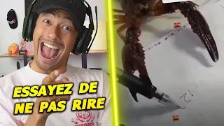 IL SE FAIT PRENDRE EN PLEIN DÉLIT !! ► ESSAYEZ DE NE PAS RIRE