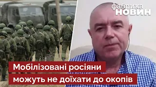 🔥ПРОГНОЗ СВІТАНА: Стадо мобілізованих баранів повернеться додому в поліетиленових мішках без боїв