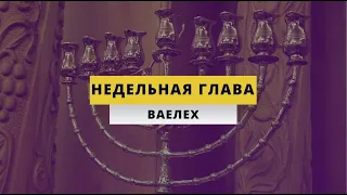 Недельная глава "Ваелех"