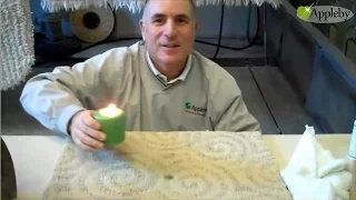 How To Remove Candle Wax From Carpets Or Area Rugs