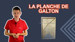 La planche de Galton