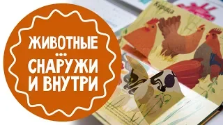 Животные снаружи и внутри. Обзор книги