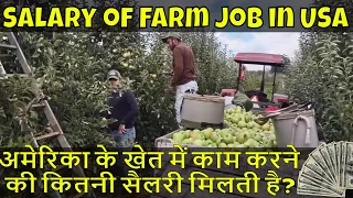 अमेरिका के खेत में काम करने की कितनी सैलरी मिलती है?| How Much Salary for Work on a Farm in America?