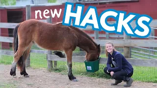 Testing Useful Horse Hacks