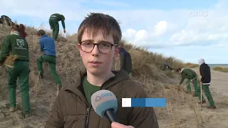 Helmgras aan de zee