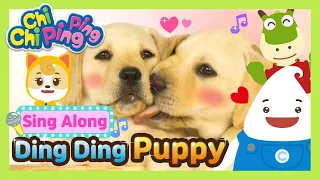 🎵 Ding Ding Puppy | Sing along | nursery rhymes | kids song | Chichi Pingping