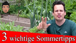 3 Gartentipps für den Sommer -gießen -mulchen -düngen