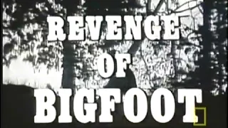 "Revenge of Bigfoot" (1979) - Only known footage